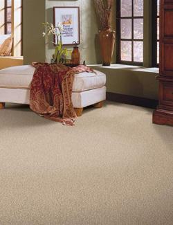 carpet flooring in amelia, oh